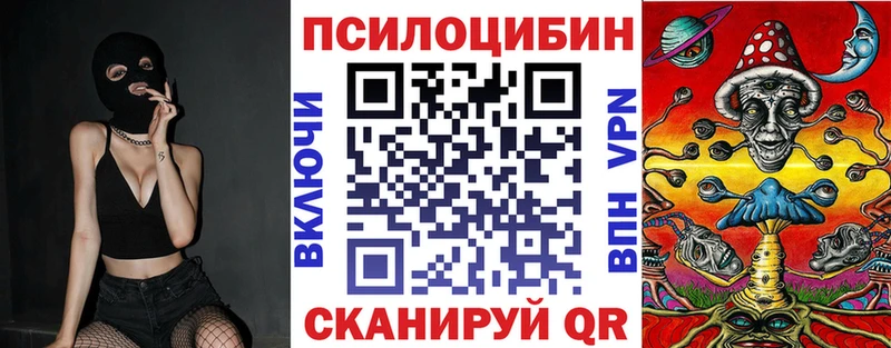 где купить наркоту  Инта  Галлюциногенные грибы Cubensis 