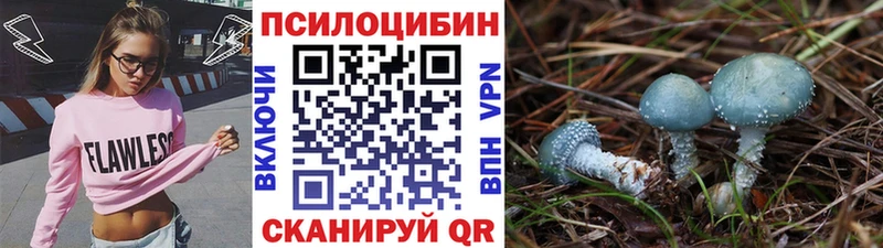 Галлюциногенные грибы Psilocybine cubensis Инта